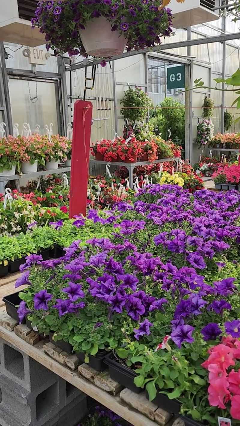 Garden Center, Plants, and Florist