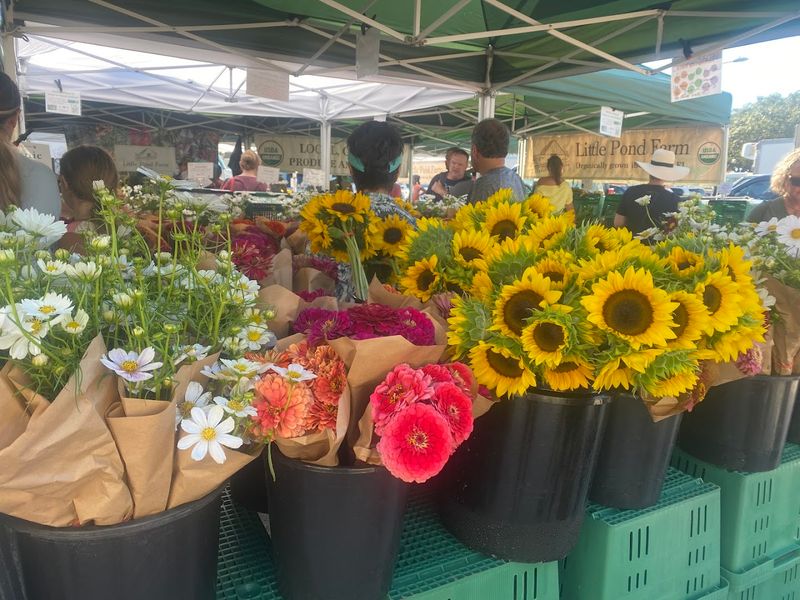 Tips for Getting the Most Out of Your Visit