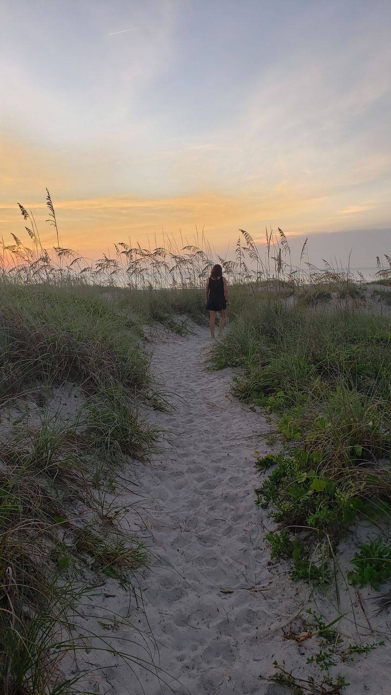 Ocean Hammock Park Nature Trail