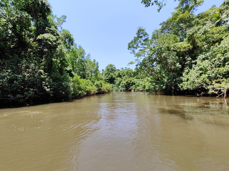 The Daintree River crossing feels like entering a different world