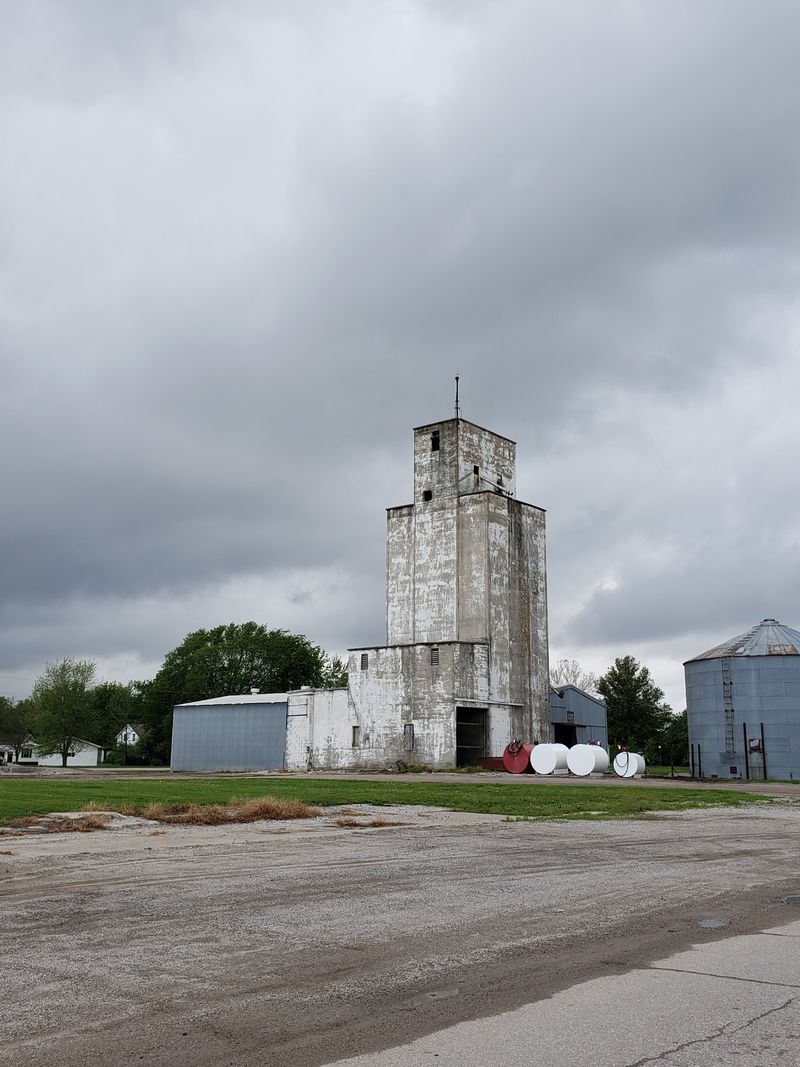 The Cotton Economy That Sustained the Town