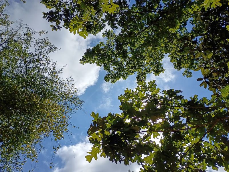 Bird Watching and Wildlife Throughout the Park
