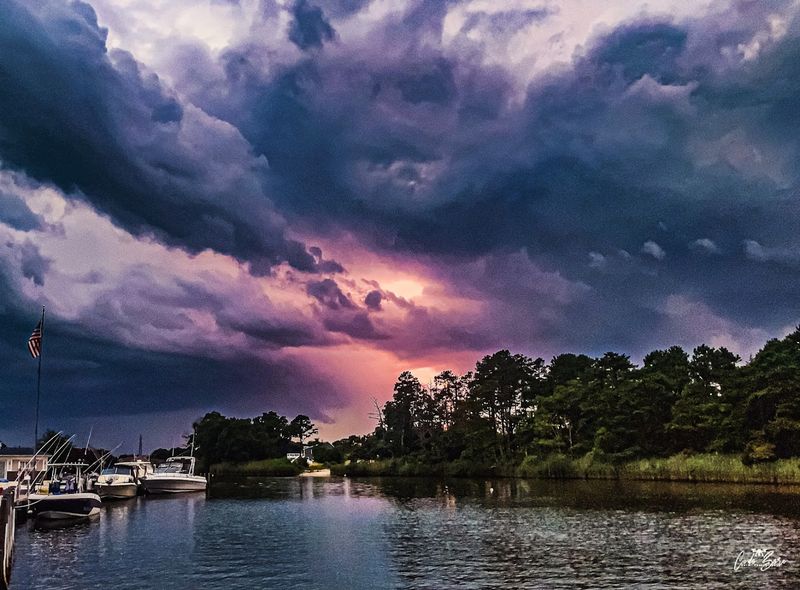 The Wetlands Trail and Nature Walk