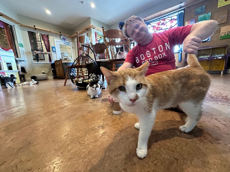 Adoption Feels Possible