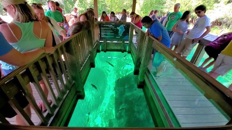 Float Over Kitch-iti-Kipi (The Big Spring)