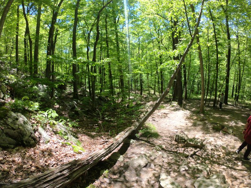 Blue Dot Descent And Gentle Grades