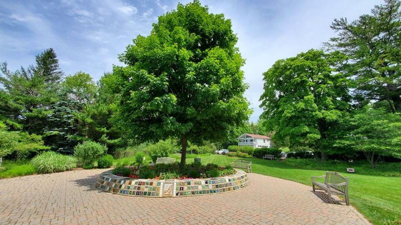 The Art That Stays Subtle