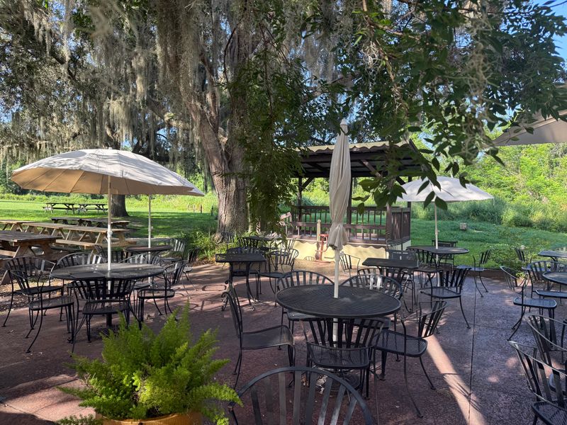 Live music on the lawn