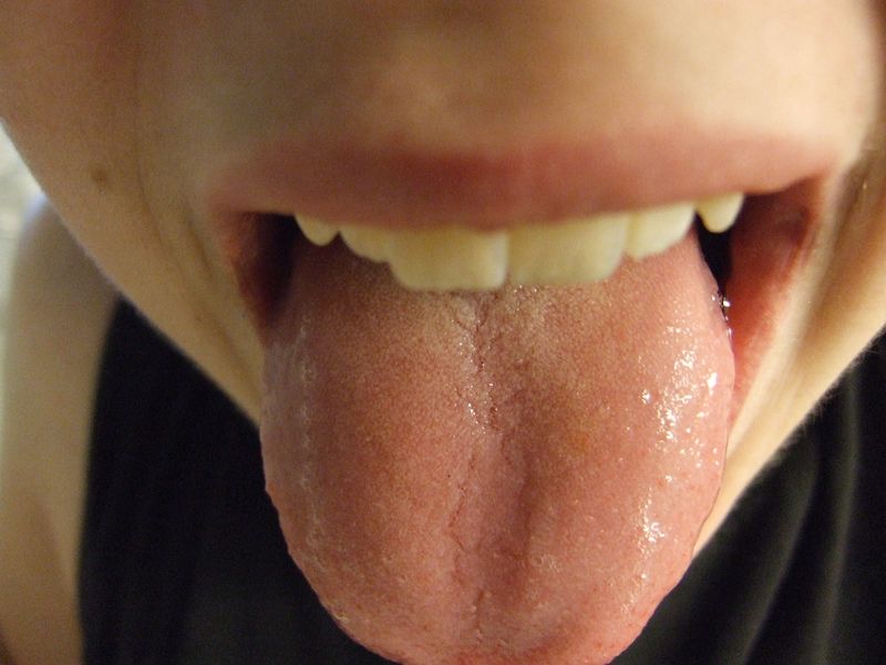 The Tongue Doesn't Have a Taste Map