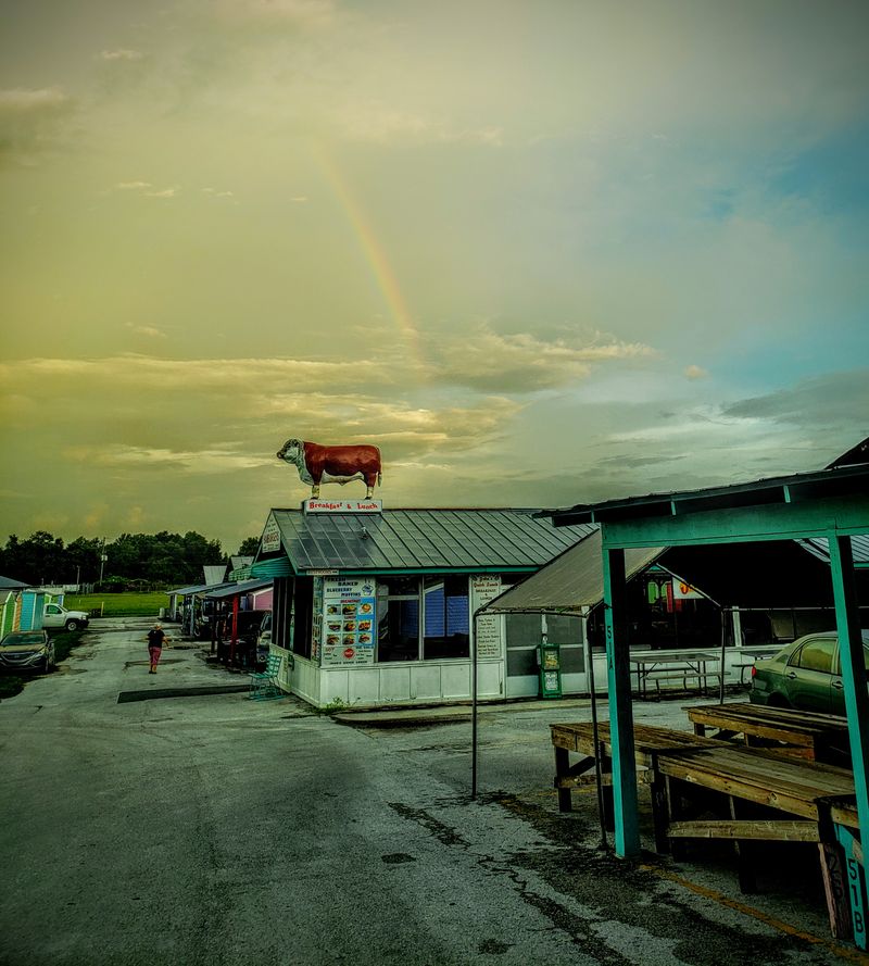 Live Animals and Farm Finds