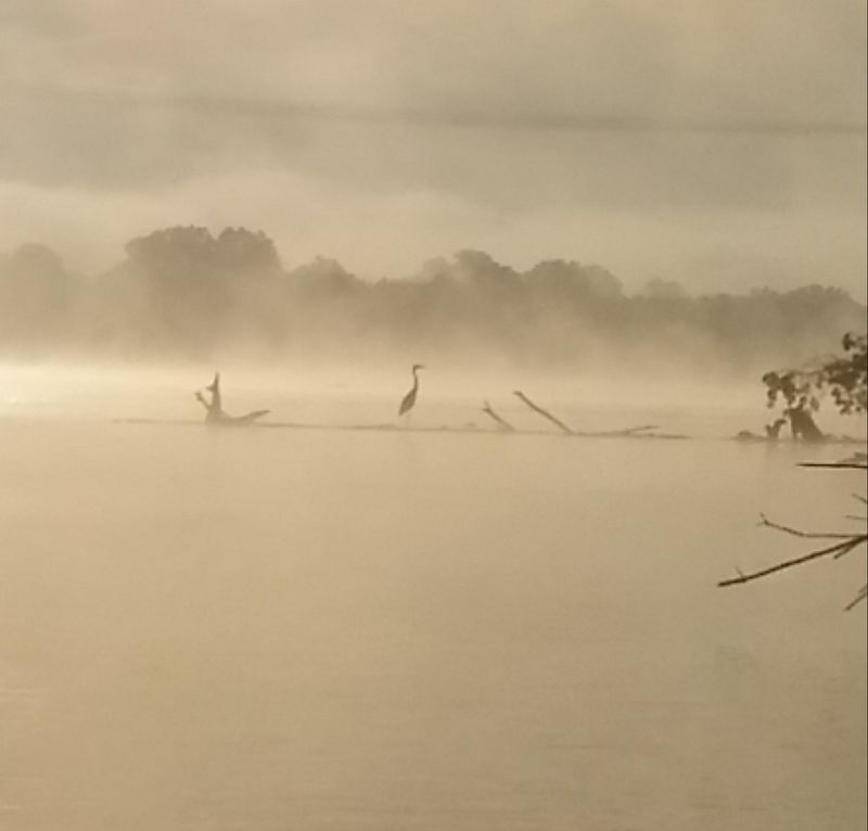 Camp Under the Stars