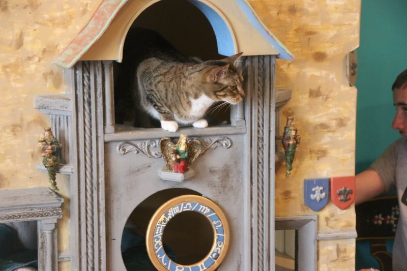 Plan Your Perfect Hour