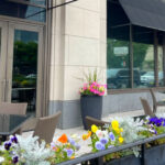 Connecticut Steakhouse With Dry-Aged Steaks and a World-Class Wine List