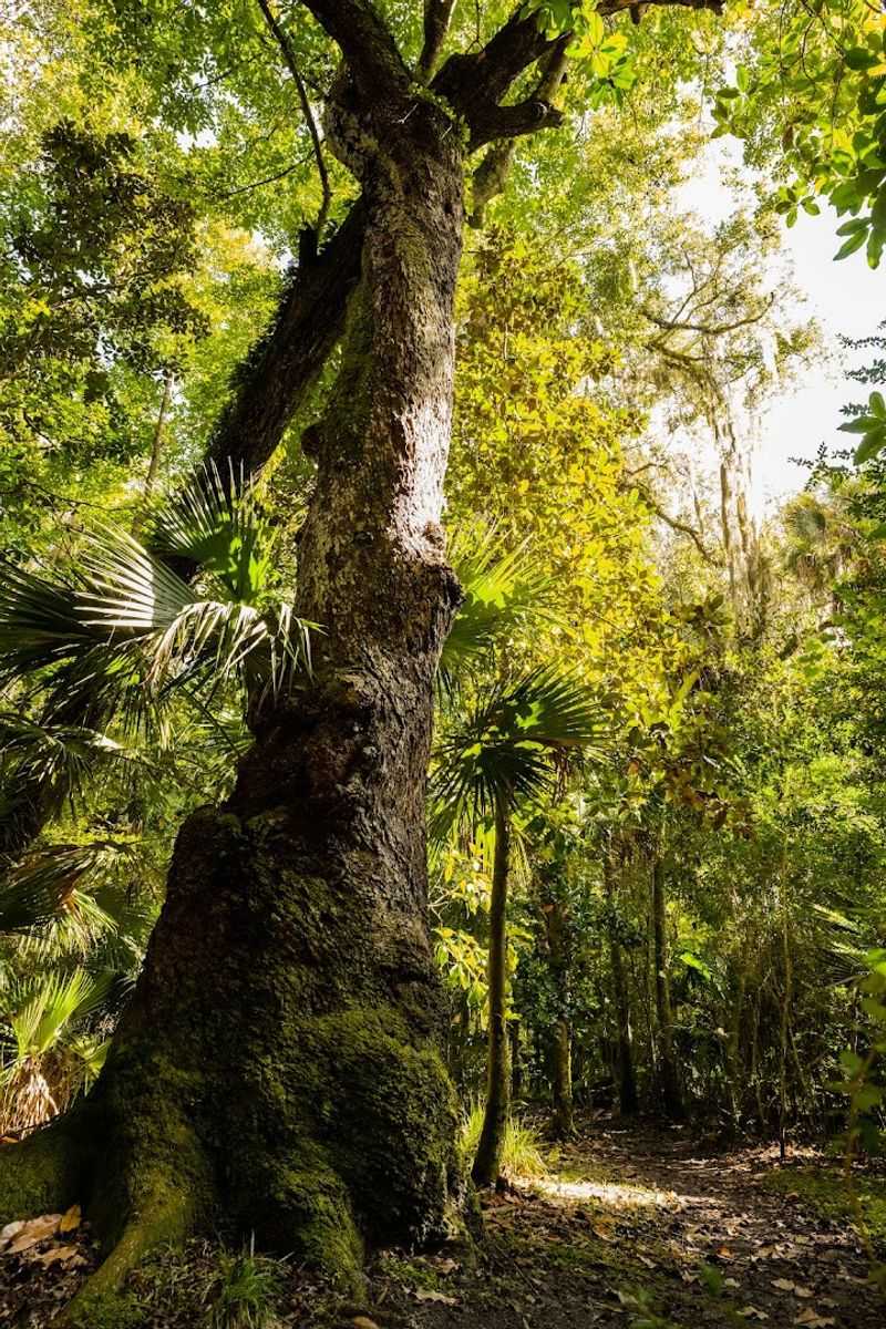 What to Pack for the Hike