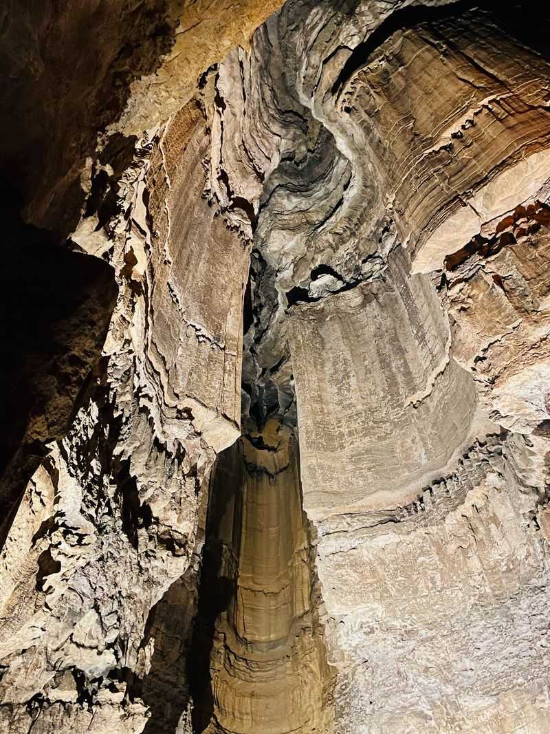 Fossils of an ancient sea