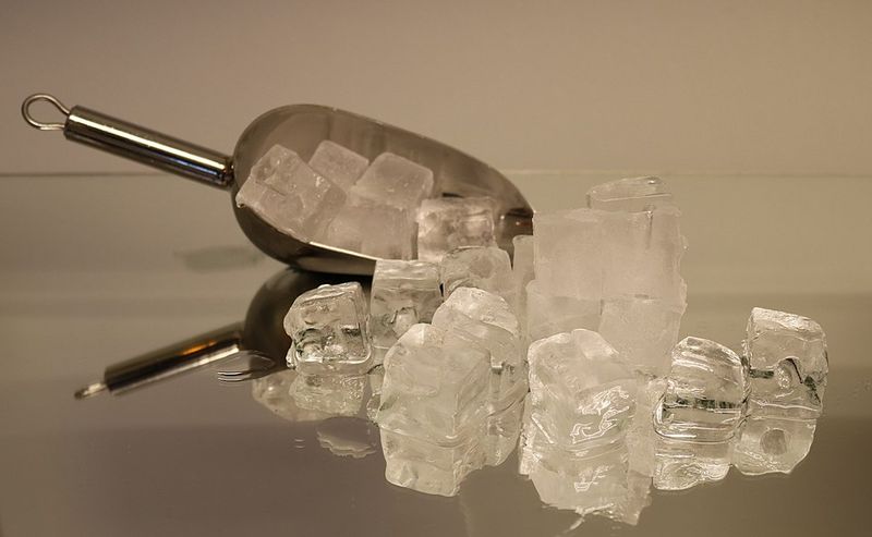 Use Ice Cubes to Revive Leftovers