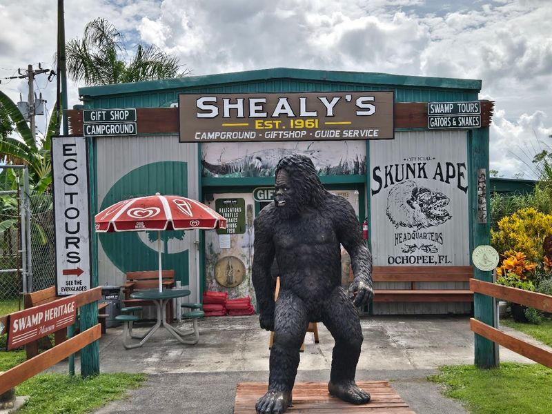 Skunk Ape Research Headquarters (Ochopee)