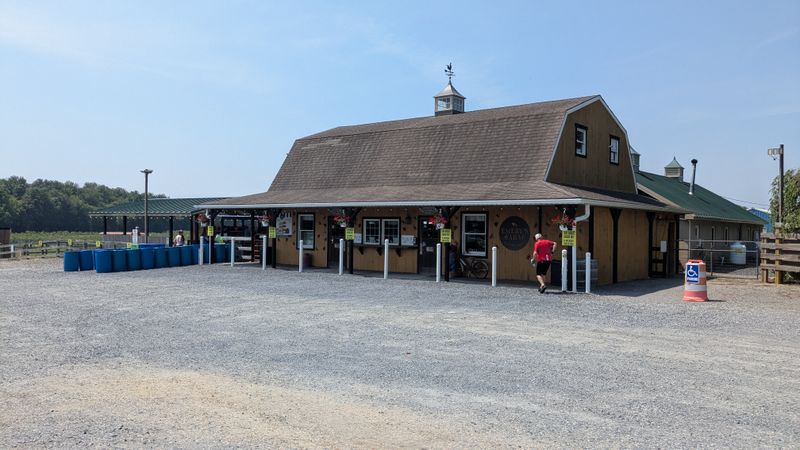 Prices, Lines, and The Efficiency Question