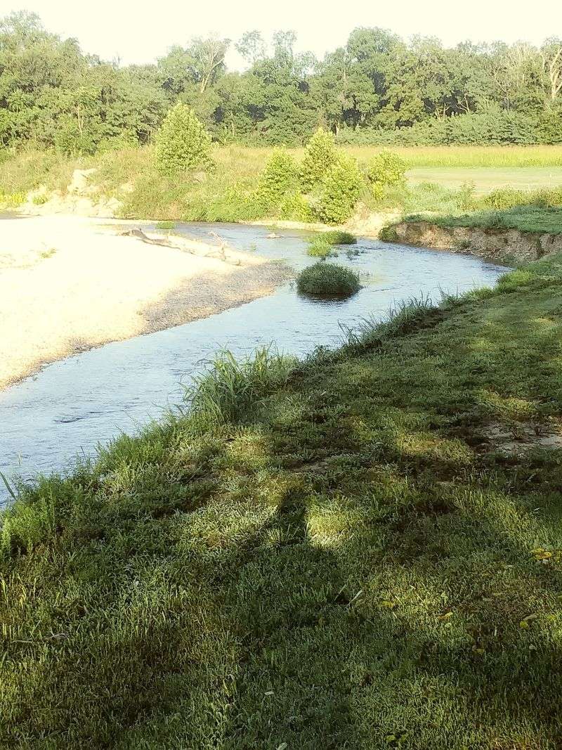 Rules That Protect Paradise