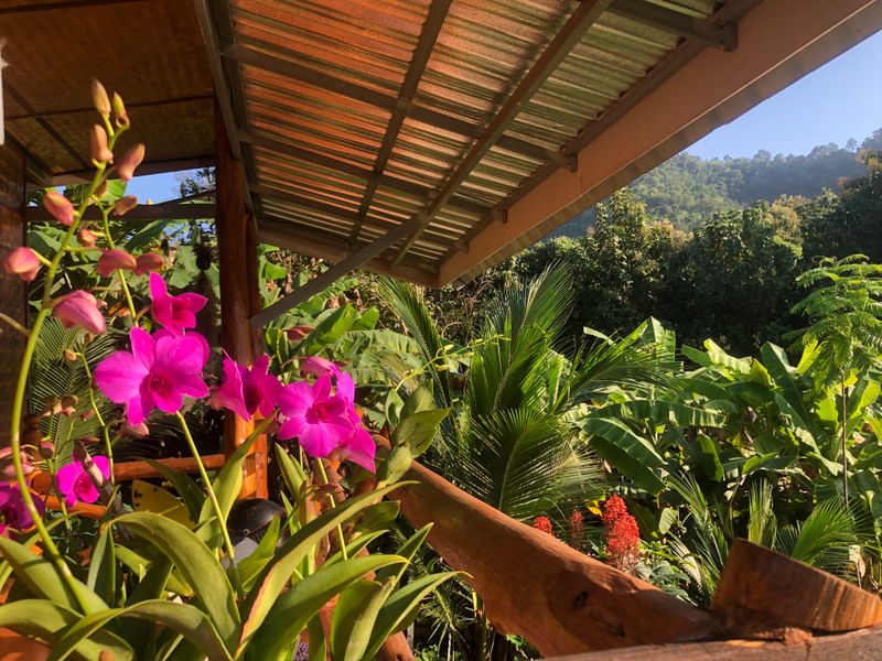 Chiang Mai, Thailand — Tranquil City Retreat