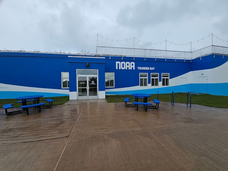 Practical Playbook: Tickets, Comfort, And Timing Your Day