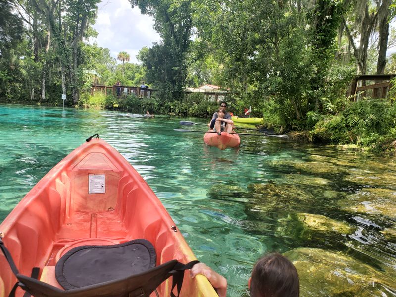 Kayaking the Chassahowitzka River (nearby spring run)