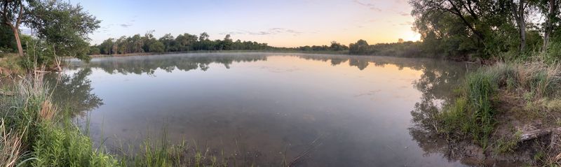 Birdwatching Paradise During Migration