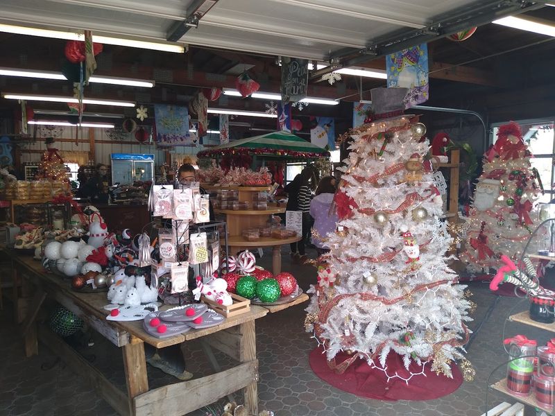 Budget and Value Notes