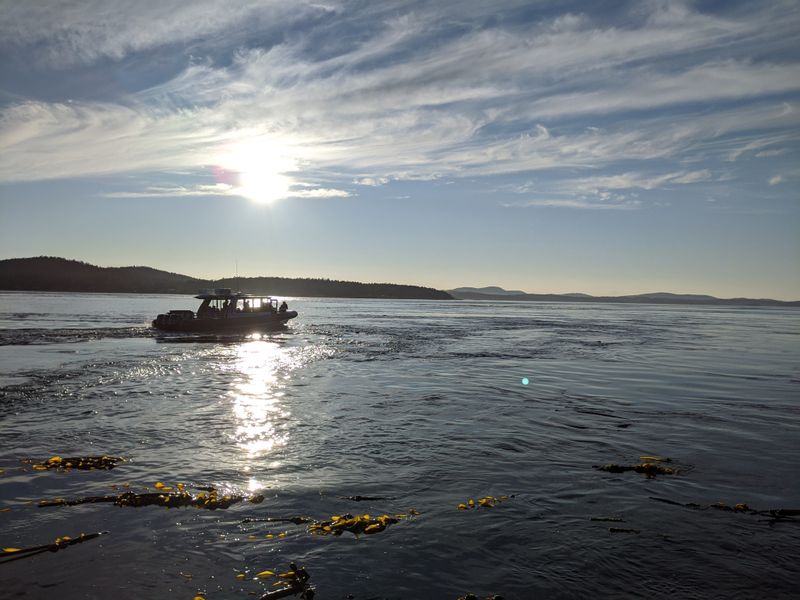 Shark Reef Sanctuary’s Low-Tide Theater