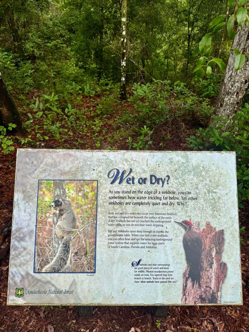 Karst Classroom Signs