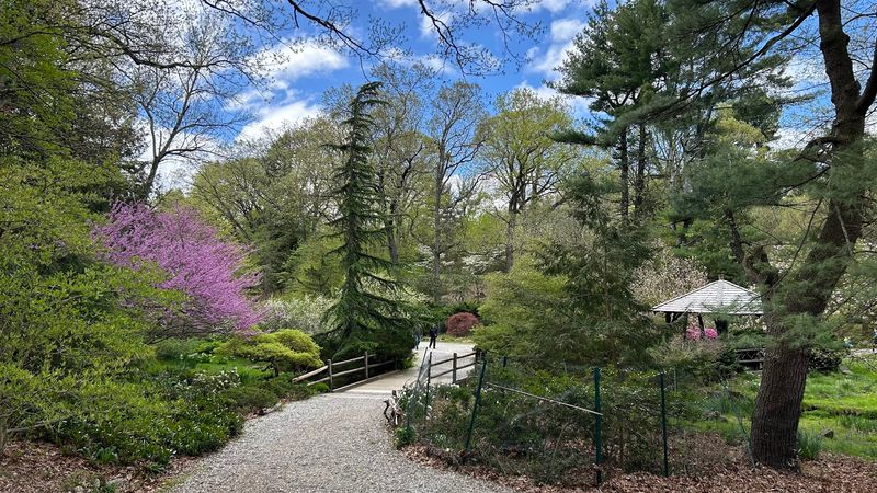 Laurelwood Arboretum (Wayne)