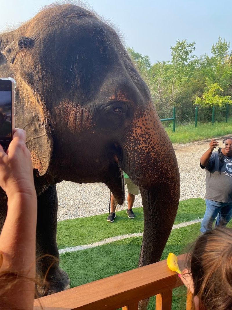 The Sanctuary Mission: Why This Place Actually Matters