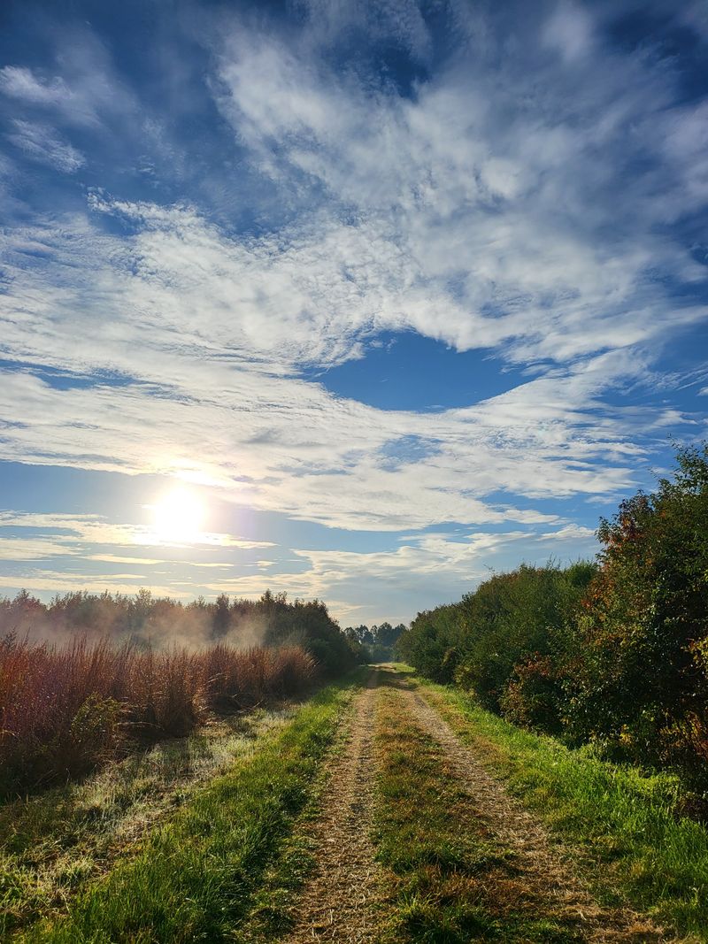 Supawna Meadows Stroll