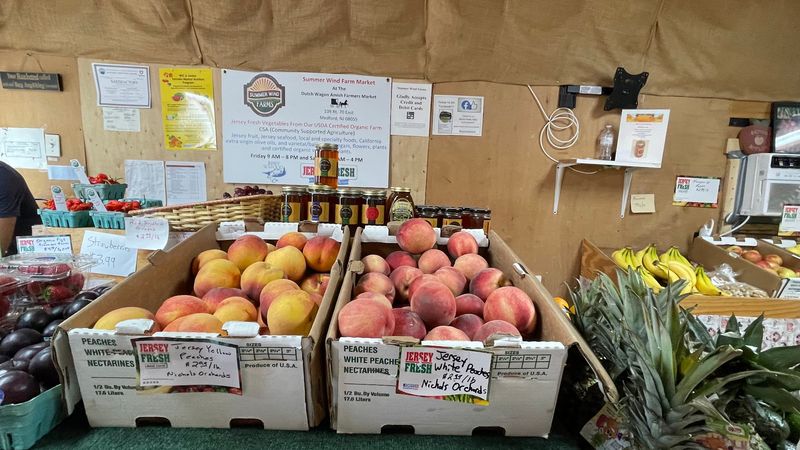 Fresh Produce Straight From the Farm