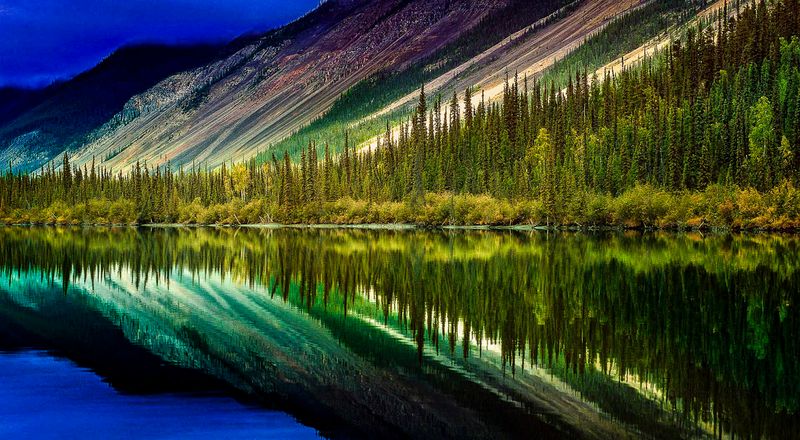 Wildlife Encounters: Tooth, Hoof, and Wing