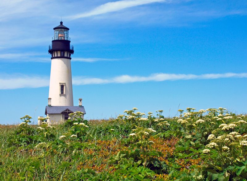 Yaquina Head Outstanding Natural Area (Newport)