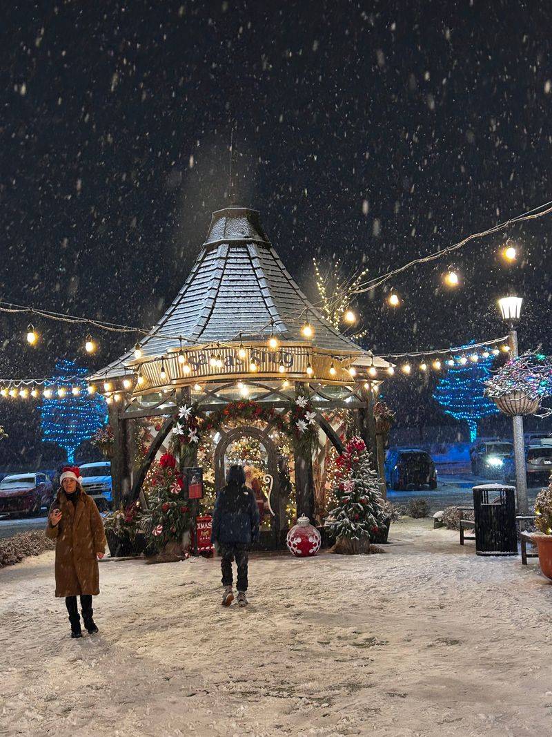 Seasonal sparkle and holiday shows