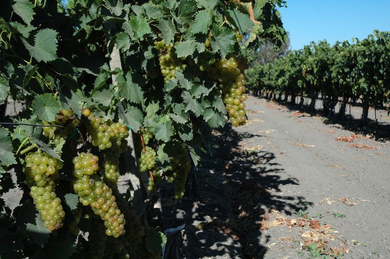 Practical Notes: Getting Here, Moving Slow, Spending Right