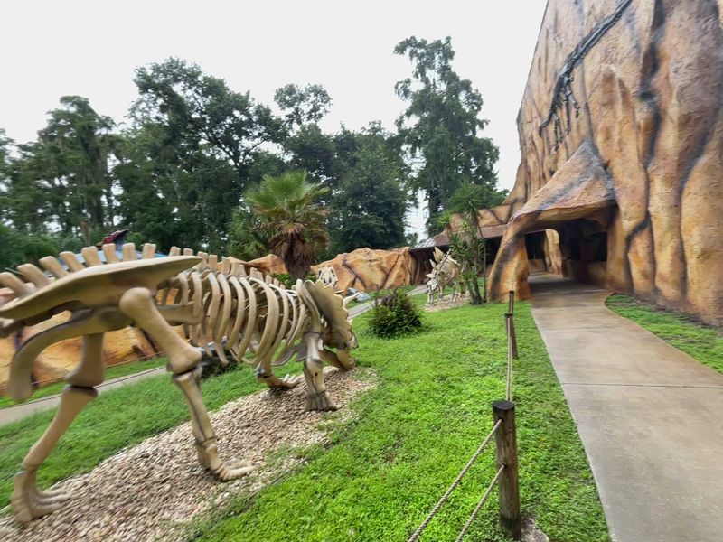 Prehistoric Museum Hall