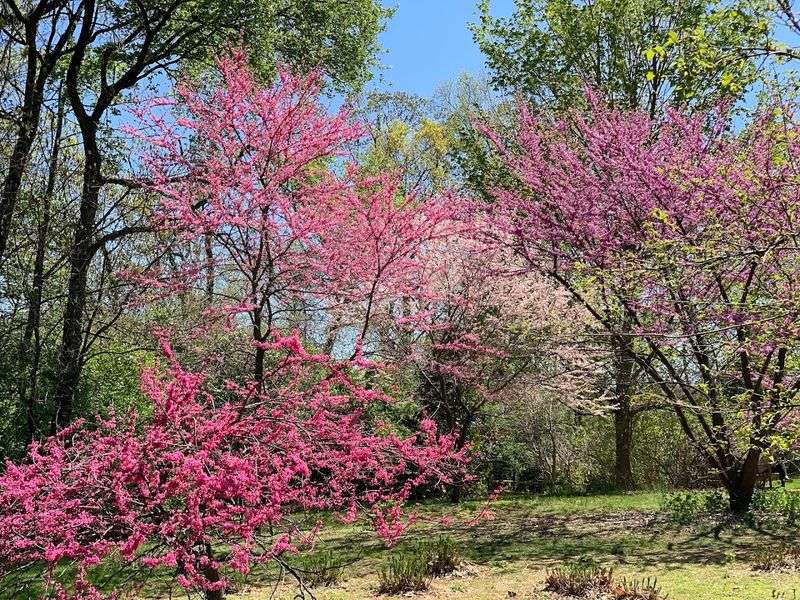 Rutgers Gardens - New Brunswick