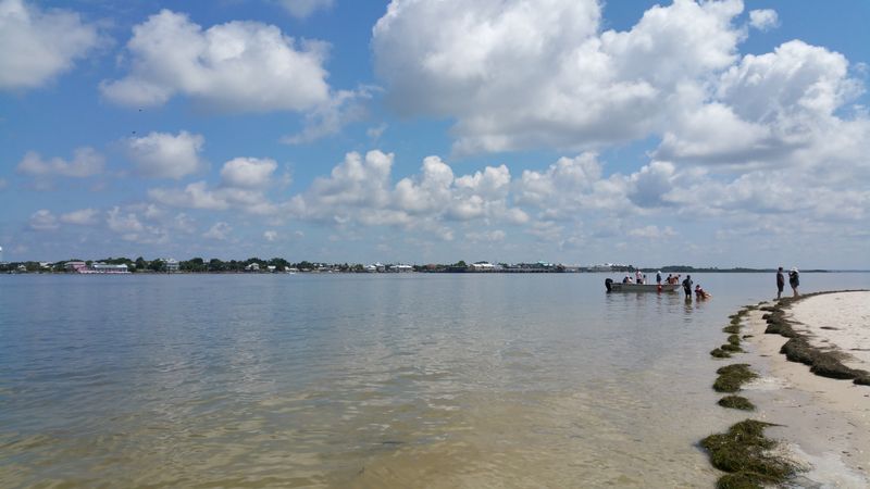 Cedar Key National Wildlife Refuge by Kayak