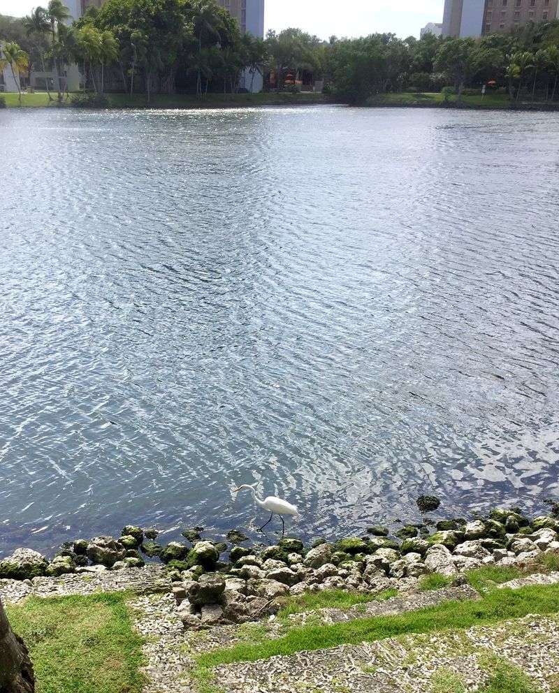 Glide Onto Lake Osceola