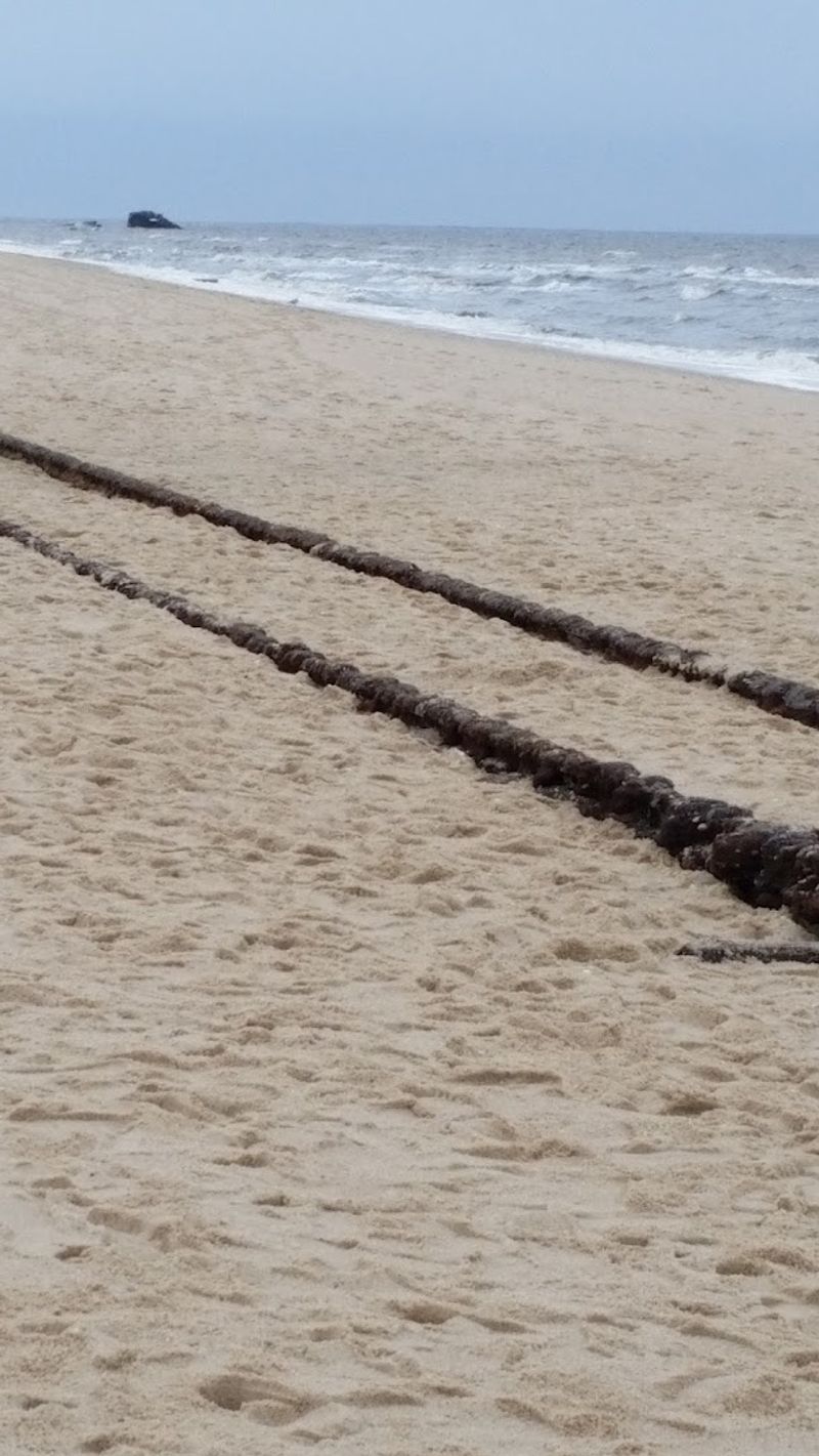 The Ghost Tracks Hidden in the Sand