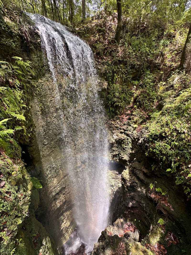 Falling Waters State Park