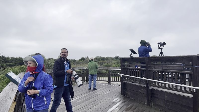 Bird Migration Magic