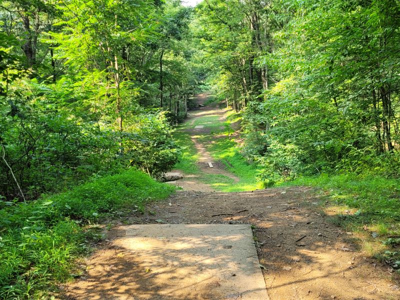 Trail Sampler: Colors And Curves