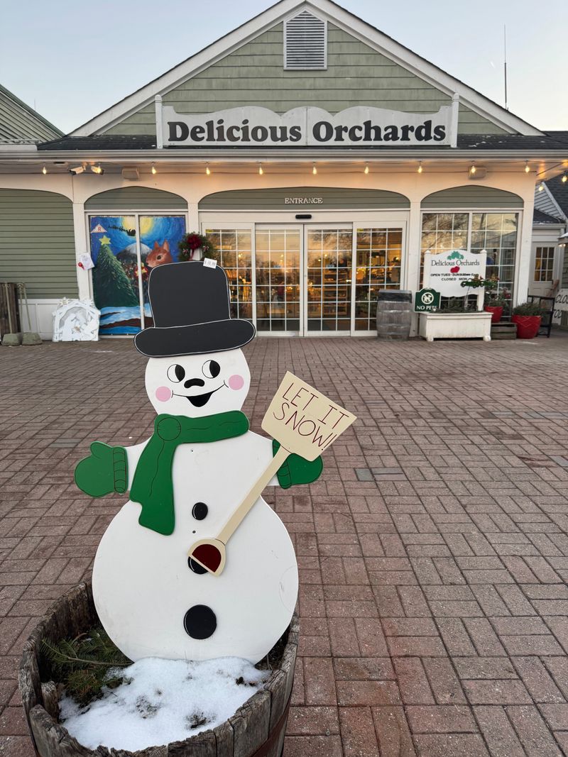 Seasonal Splendor and Holiday Hype