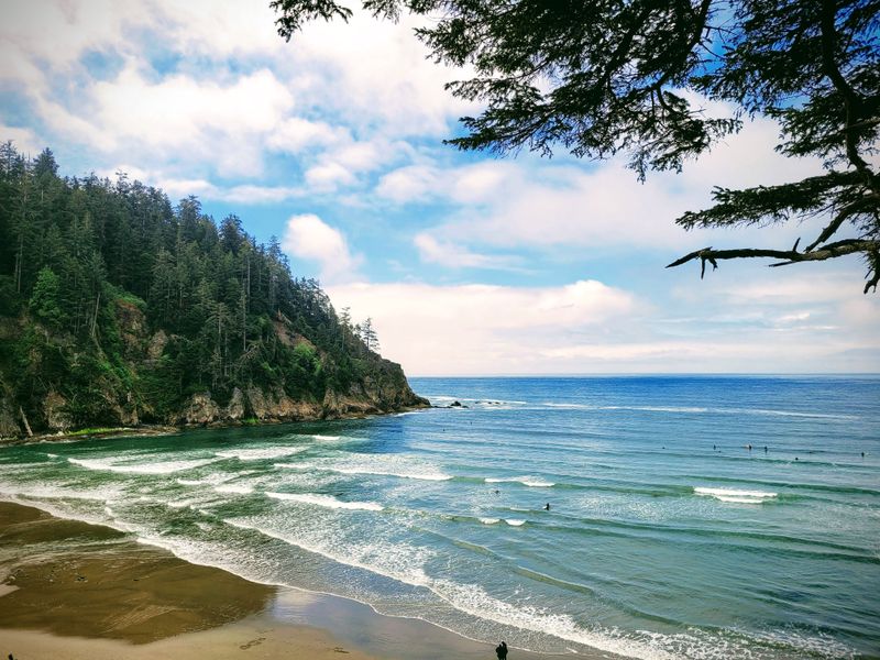 Oswald West State Park (Short Sand Beach + rainforest trails)