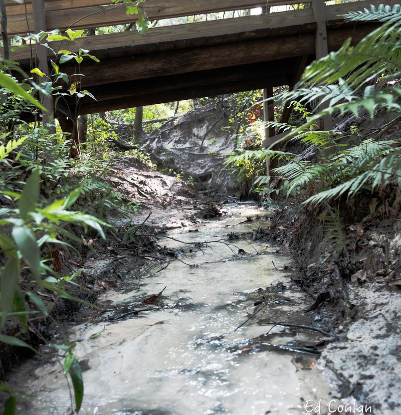 Hidden Waters Preserve Waterfall – Eustis