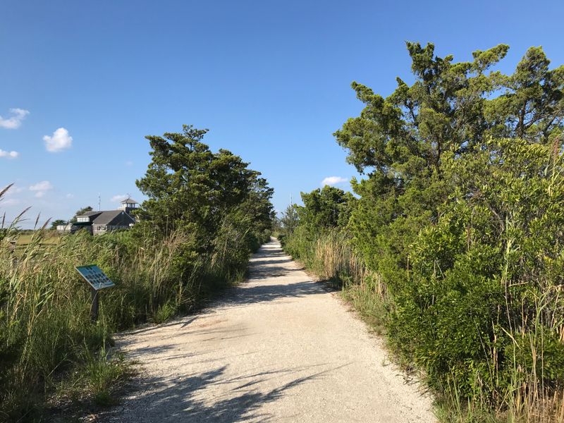 Practical Tips For A Smooth Visit